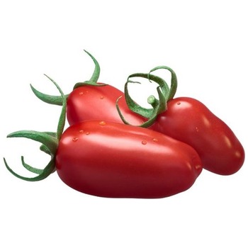 SANMAZANO PLUM TOMATO