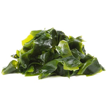 SEAWEED