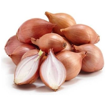 SHALLOTS ONION ROUND