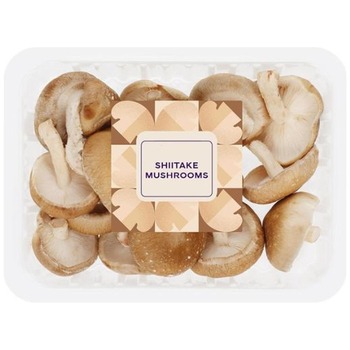 SHITAKI MUSHROOM