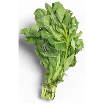 SOKO LEAVES (SHOKO)