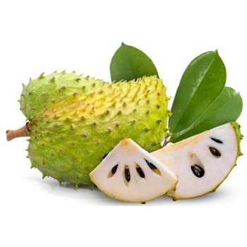 SOURSOP FRUIT