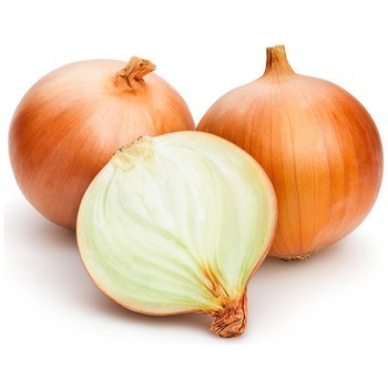 SPANISH ONION