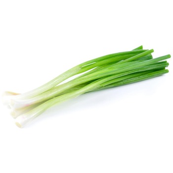 SPRING ONION LONG