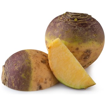 SWEDE NET