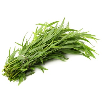 TARRAGON
