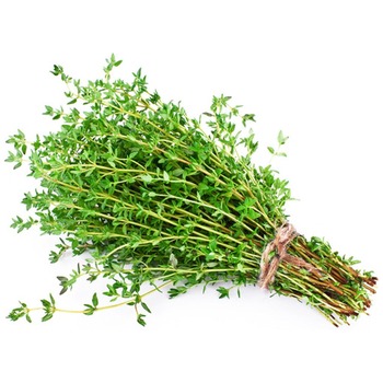 THYME