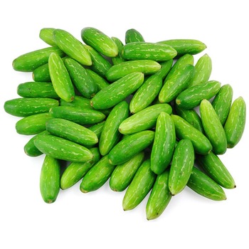 TINDORA