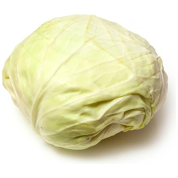 TURKISH CABBAGE (JORDON)