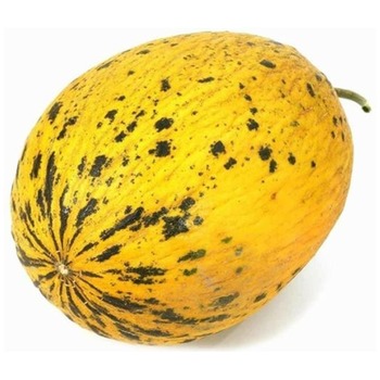 TURKISH YELLOW MELON (KIRKAGAC)