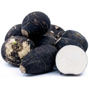 TURNIP BLACK