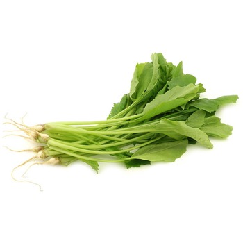 TURNIP LEAVES