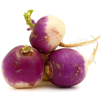 TURNIP NET