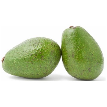 UGANDA AVOCADO