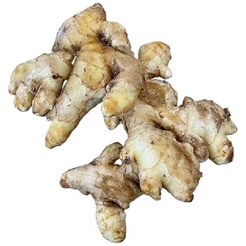 UGANDA GINGER