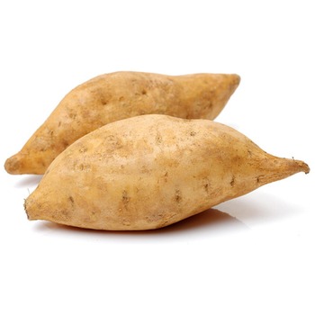 UGANDA SWEET POTATO