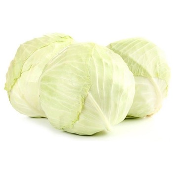 WHITE CABBAGE