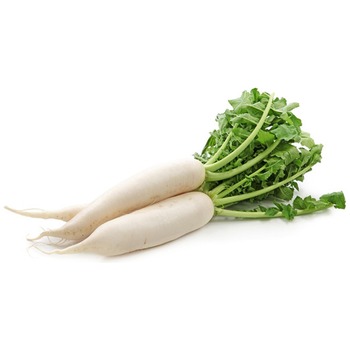 WHITE MOOLI