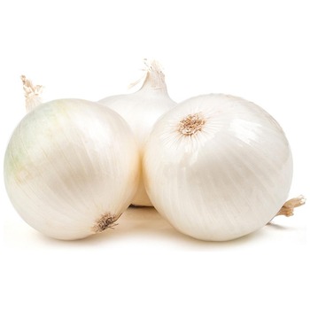 WHITE ONION (CHILEAN)