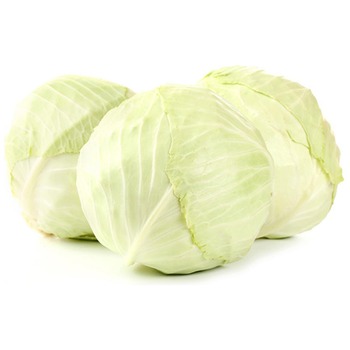 WHITE SMALL CABBAGE