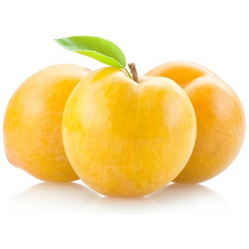 YELLOW PLUM