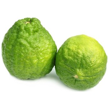 ZARA-JARA LEMON